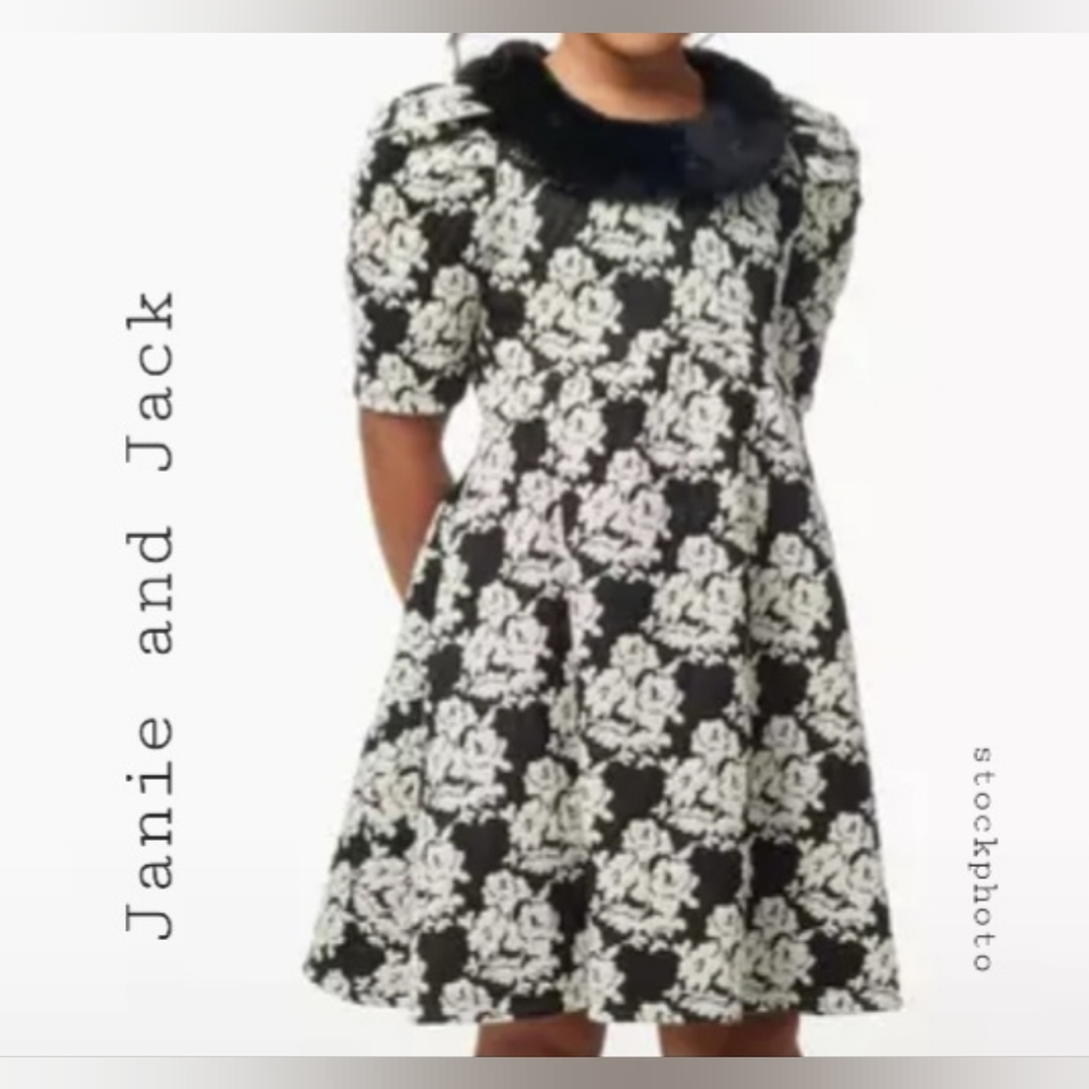 Infant 6-12M Janie and Jack Floral Jacquard Faux Fur Holiday Perfect Dress NWT